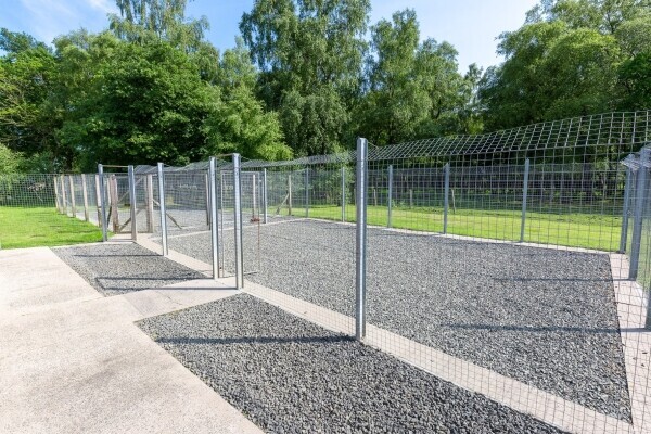 UNDER OFFER - Profitable Boarding Kennels with Superb Family Home in 2.5 acres, Central Scotland Photo 15