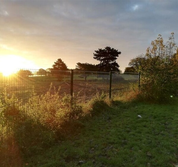 Kennels, Cattery & Equestrian businesses For Sale in Barnsley Photo 15
