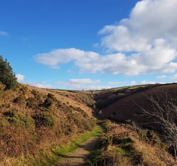 Under Offer: Distinctive 11 Bedroom Hotel in a Unique North Devon Setting For Sale in Barnstaple Photo 15