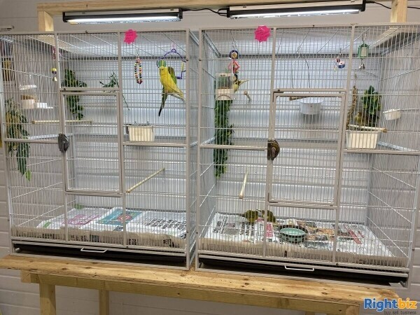 Highly successful Pet And Hardware shop Photo 15