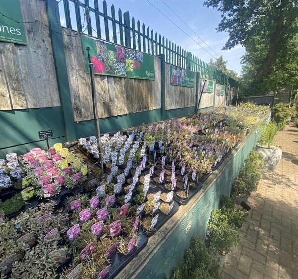 Garden Centre & Horticulture For Sale in Crewe Photo 15