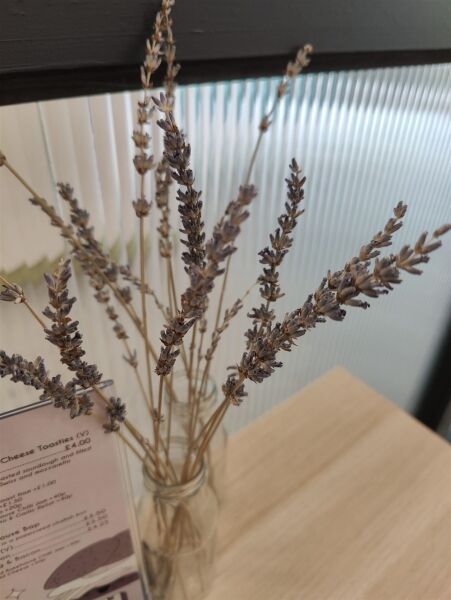 Artisan Bakery Bakehouse and Coffee Shop Restaurant in East London Photo 15