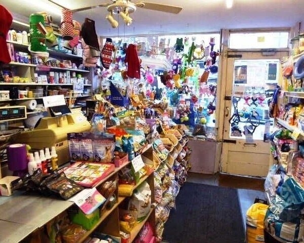 Freehold Pet Shop for Sale Photo 2