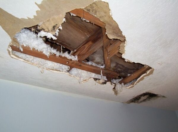 Established Damp & Timber Business - Relocatable Established Damp & Timber Business - Relocatable