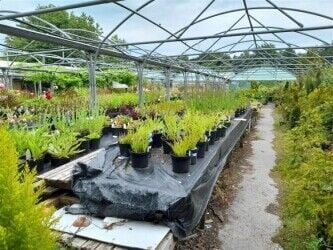 Garden Centre & Horticulture For Sale in Leeds Garden Centre & Horticulture For Sale in Leeds