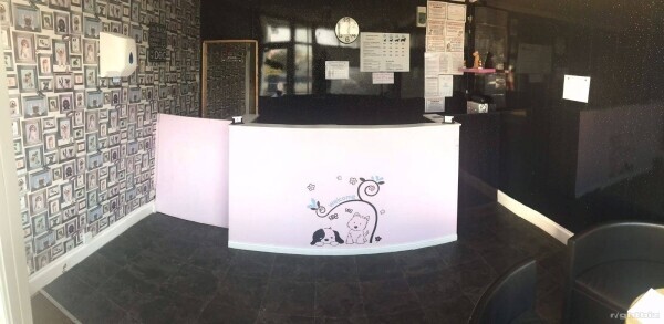 Established and fully equipped Dog Grooming business for sale in Plymstock, Plymouth. Photo 2
