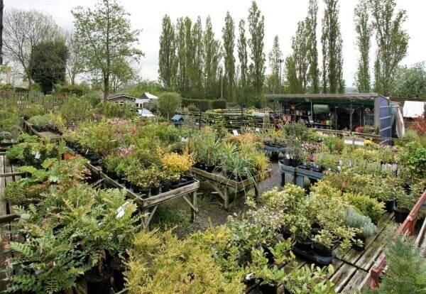 Garden Centre & Horticulture For Sale in Liversedge Photo 2