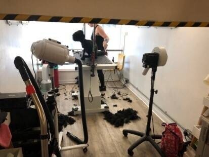 Reputable Dog Grooming, Food & Accessories Business in East Sussex Photo 2