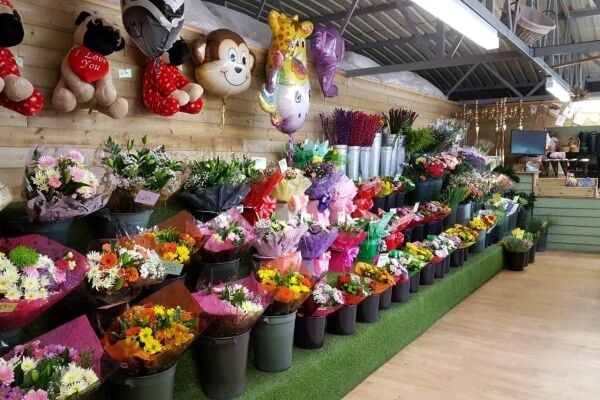 Florist & Garden Centre - Skelmersdale Photo 2