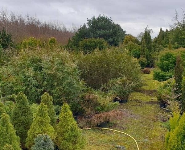 Garden Centre & Horticulture For Sale in Lincolnshire / Nottingham Border Photo 2