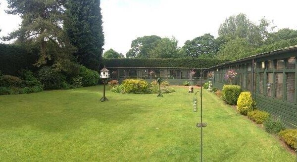 Cattery- East Yorkshire Photo 2