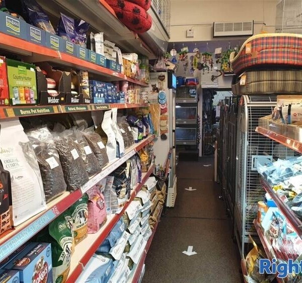 HIGHLY PROFITABLE RETAIL & ONLINE LIVE PETS & SUPPLIES CENTRE NEAR STOKE ON TRENT Photo 2