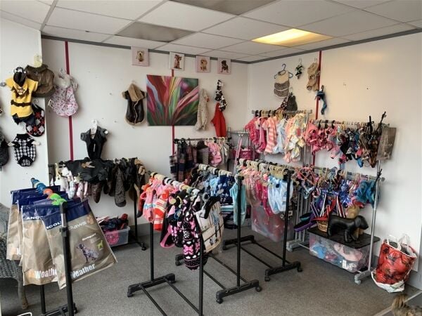 POPULAR DOG GROOMING SALON & RETAIL ACCESSORIES IN SOUTHPORT