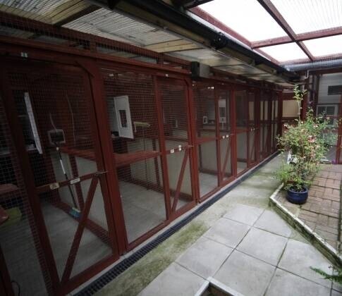 Former Cattery, 5 Bedroom House & Flat- Eastbourne Photo 2