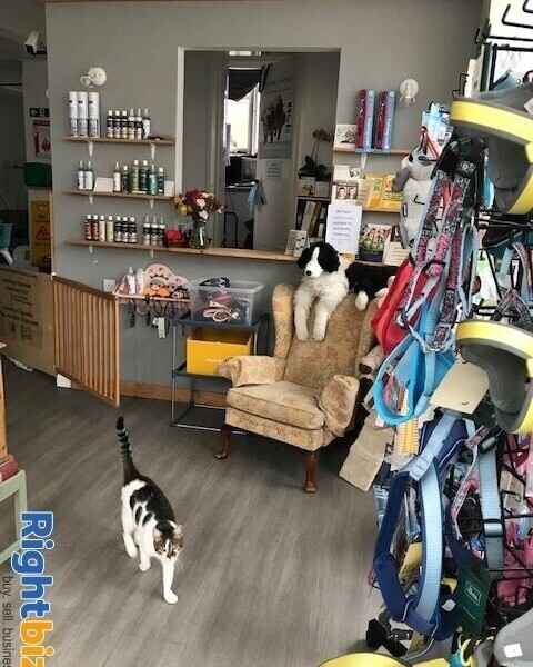 Expanding dog grooming salon with small retail area in Sussex Photo 3