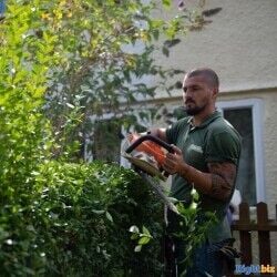 Gardening franchise UK leading company Gardening franchise UK leading company