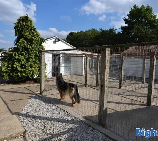 Kennels, Cattery & Equestrian businesses For Sale in Chesterfield Photo 2