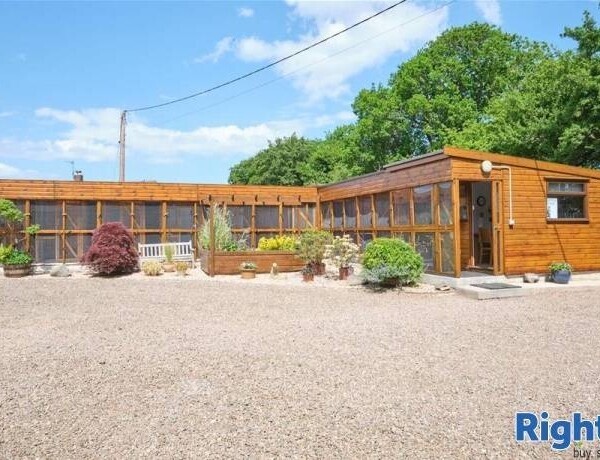 Cattery - Scottish Borders Photo 2
