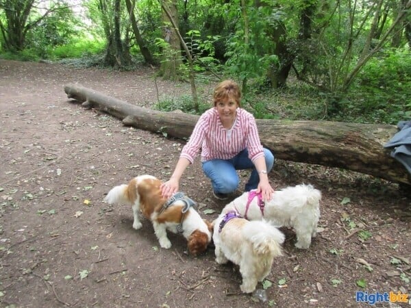 Exciting opportunity to buy an established pet care business in Cardiff Photo 2