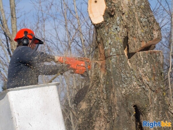 Well Established Tree Surgery Business with Large Client Base Photo 2
