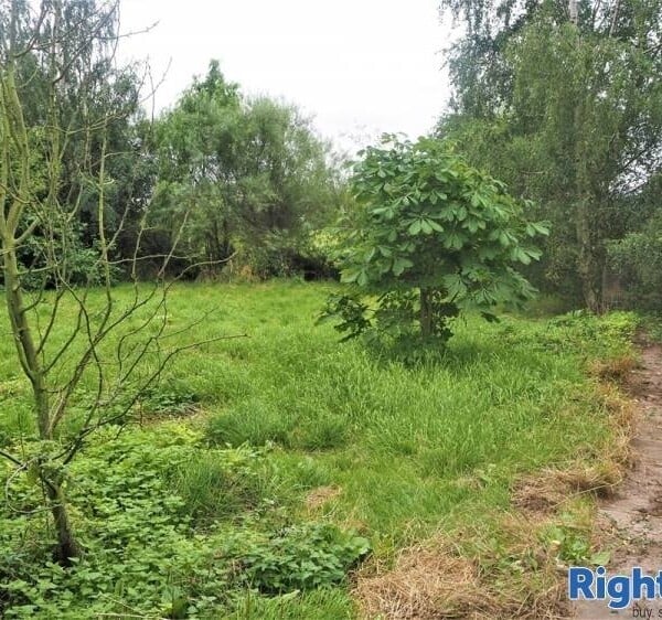 Kennels, Cattery & Equestrian businesses For Sale in Sherburn in Elmet Photo 2
