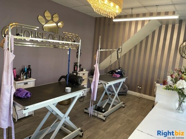 Dog grooming business for sale Photo 2