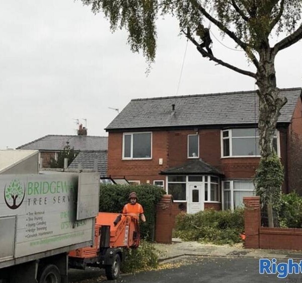 Well Established Tree Surgeons For Sale Photo 2