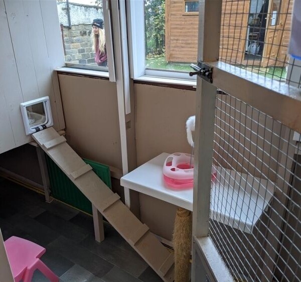 Kennels, Cattery & Equestrian businesses For Sale in Barnsley Photo 2