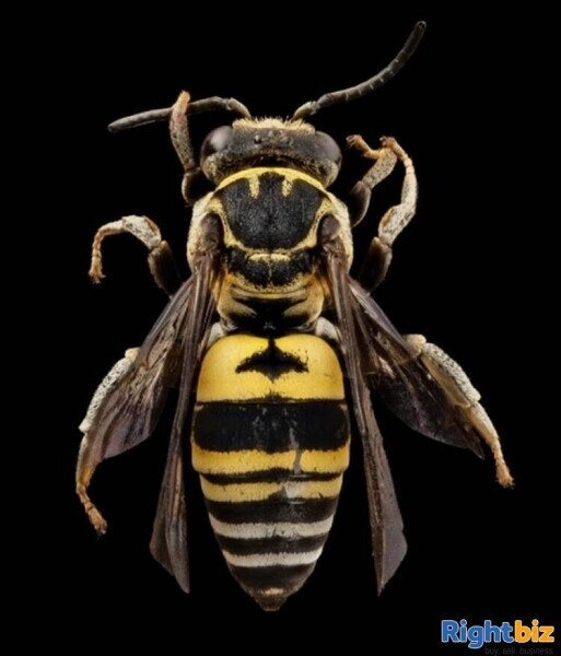 Well-Established Pest Control Business. with Superb Expansion Opportunities Photo 2