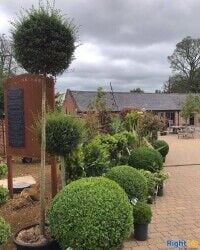Garden shop with good outside sales area in the heart of Vale of Belvoir