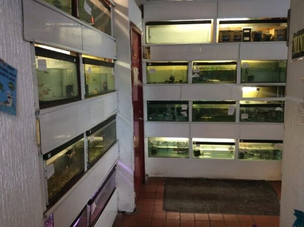 Well Run Pet Shop & Aquatic Centre Photo 2