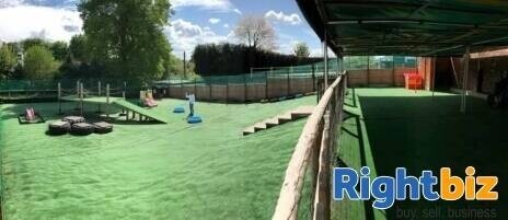 Popular Doggy DayCare Business Photo 2