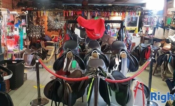EQUESTRIAN SUPPLIES Photo 2