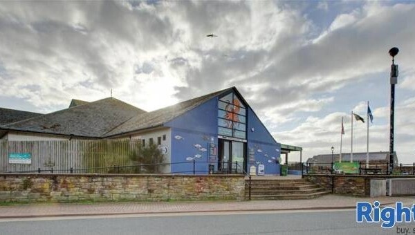 AQUARIUM AND CAFE - CUMBRIA Photo 2