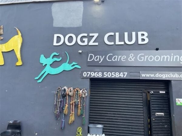 TOWN CENTRE DOGGY DAYCARE & GROOMING CENTRE based STOCKPORT Photo 2