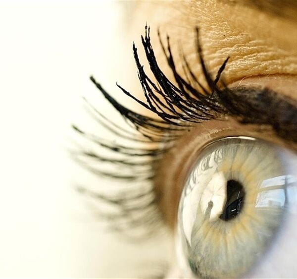 OPTICIANS EAST LONDON OPTICIANS EAST LONDON