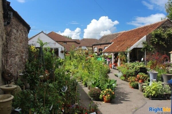 Unique High Street Garden Centre and Pet Supplies Photo 1