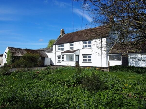 Kennels, Cattery & Equestrian businesses For Sale in Ferryhill Photo 2