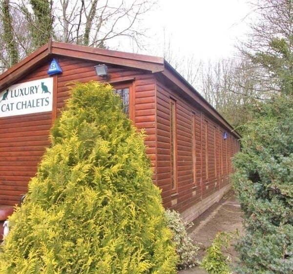 Kennels, Cattery & Equestrian businesses For Sale in Morpeth Kennels, Cattery & Equestrian businesses For Sale in Morpeth