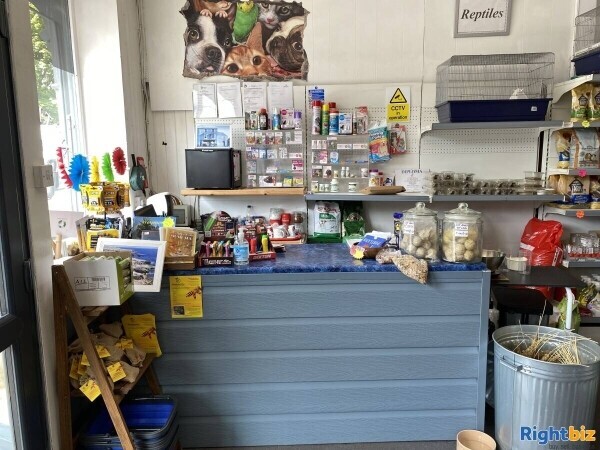 Highly successful Pet And Hardware shop Photo 2