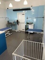 Dog Grooming Business For Sale in Giffnock, Glasgow