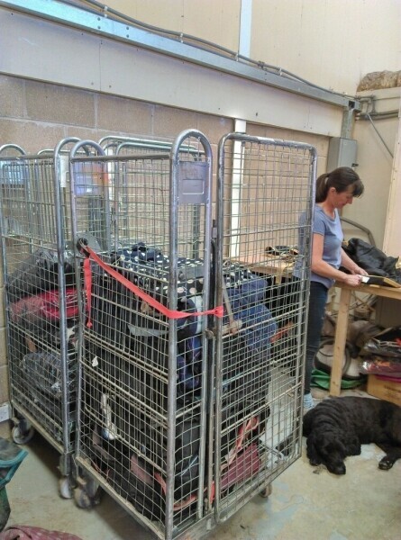 Well-Established Equestrian Cleaning & Repair Business in Romsey Photo 2