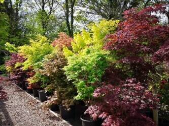 Largest Retail and Wholesale Horticultural Nursery in Wales Largest Retail and Wholesale Horticultural Nursery in Wales