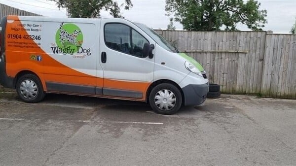 Highly Rated Doggy Day Care & Grooming Centre on the Outskirts of York Photo 2
