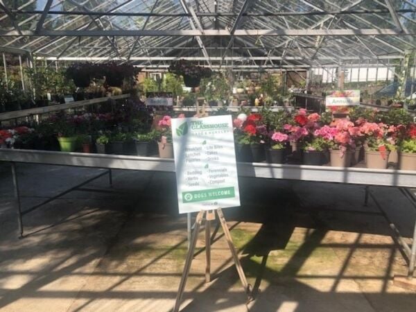 Leasehold Café/Restaurant & Garden Centre Located In St Tudy Photo 2