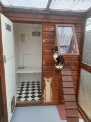 Cattery - Weston Super Mare Photo 2