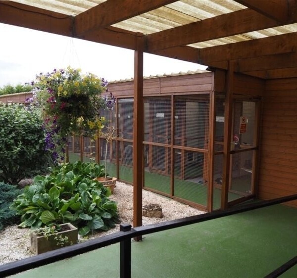 Kennels, Cattery & Equestrian businesses For Sale in Scunthorpe Photo 2