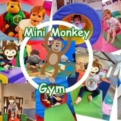 Successful Baby and Toddler Group in Mid Sussex