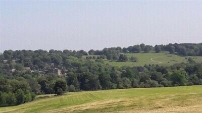 Delightful 5 Star Rated Licensed Boarding Kennels & Cattery - South Yorkshire Photo 2