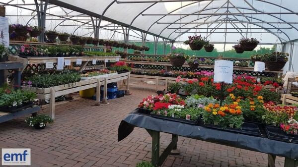 WHOLESALE PLANT NURSERY Photo 2